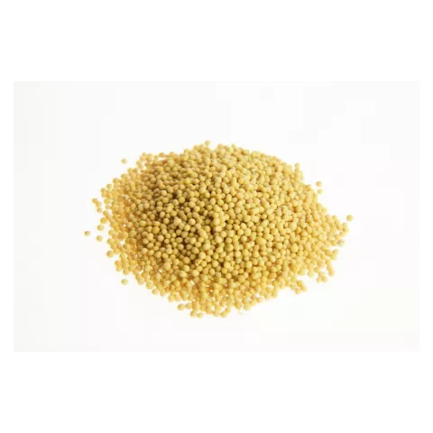 Σινάπι ολόκληρο 500gr