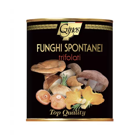 Ποικιλία μανιταριών spontanei trifolati Ginos 800gr
