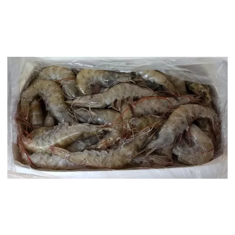 Γαρίδες vannamei 20/30 2kg