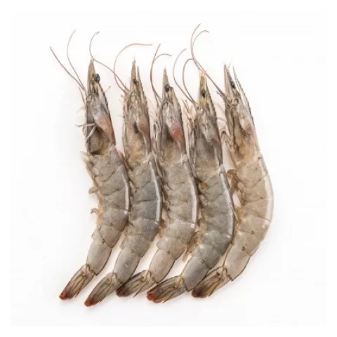 Vannamei king prawn 21/25 200gr