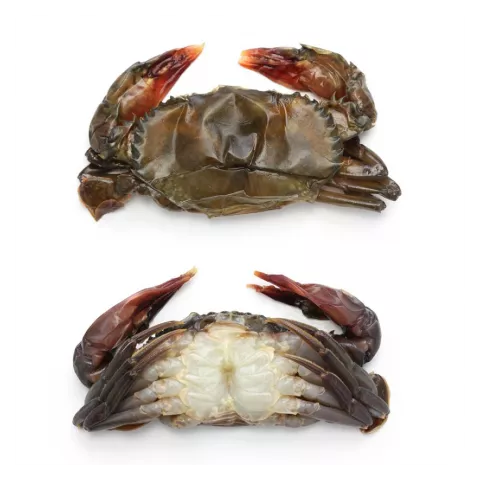 Soft shell crab hotel (18pcs/kg) 1kg