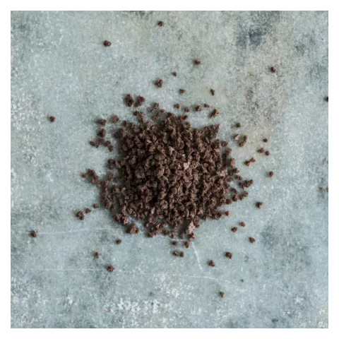 Cocoa macaroon D'orsogna 750gr