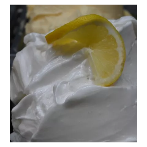 Melon sorbet mantygel 1.5kg