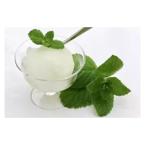 Mint sorbet mantygel 1.5kg