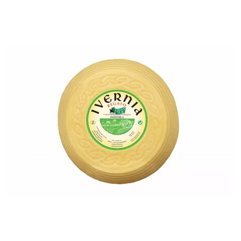 Regato ivernia Ιρλανδίας κεφάλι 2.5kg