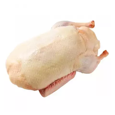 Πάπια ολόκληρη ανευ εντοσθίων Πολωνίας 6Χ2.3kg