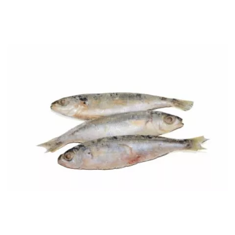 Αθερίνα IQF 1kg