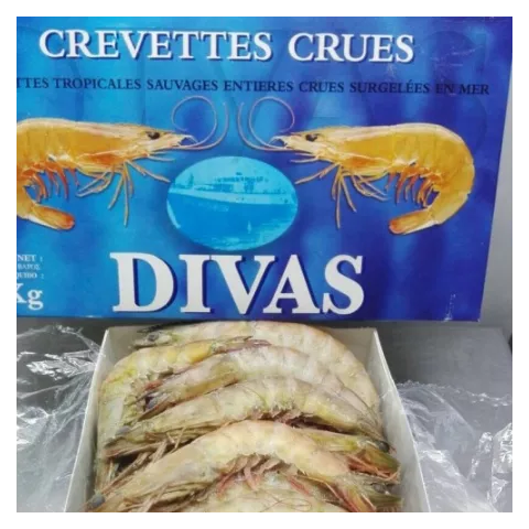 Γαρίδες Ατλαντικού Divas No1 10/20 9X2kg