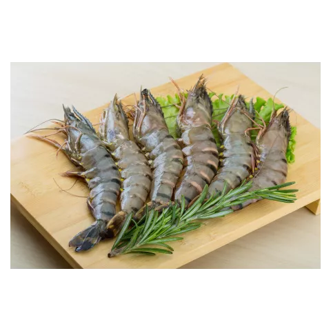 Γαρίδες Black Tiger 31/40 10X1kg