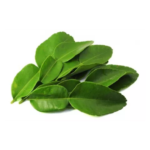 Lime leaves asian choice 100gr