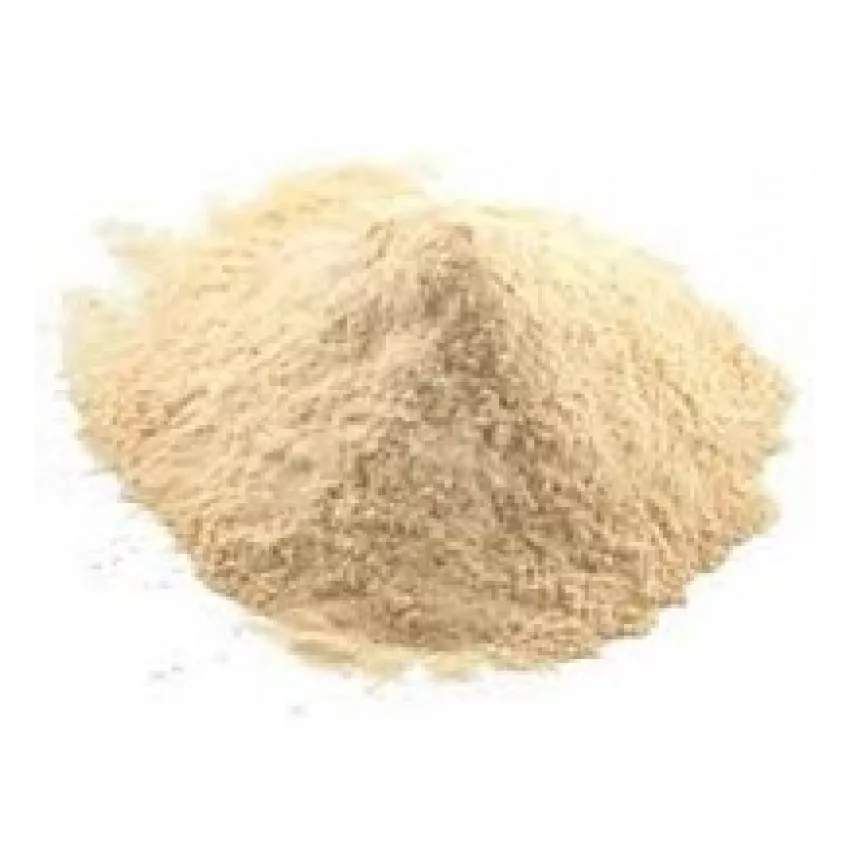 Σκόρδο σκόνη 1kg