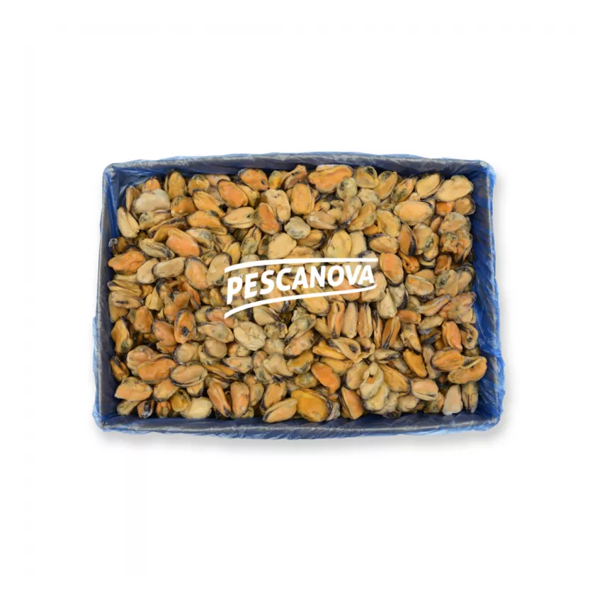 Μύδια ψίχα 100/200 Χιλής 500gr Μύδια ψίχα 100/200 Χιλής 500gr