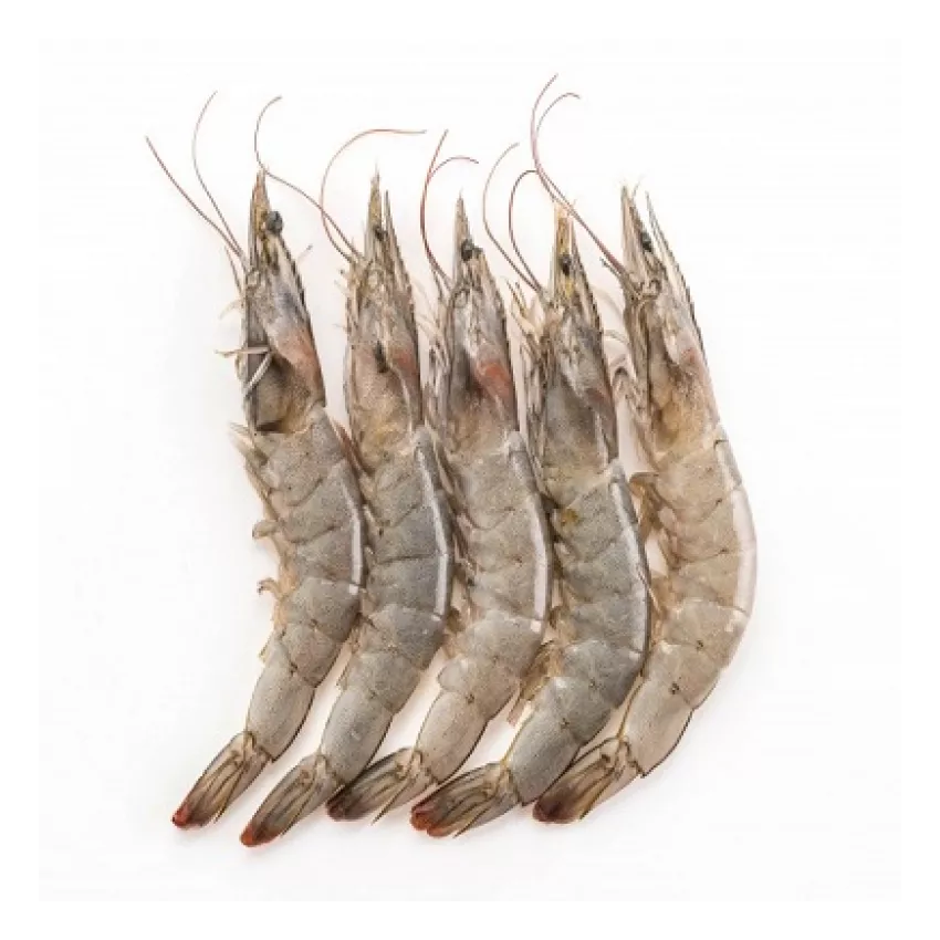 Vannamei king prawn 21/25 200gr Vannamei king prawn 21/25 200gr