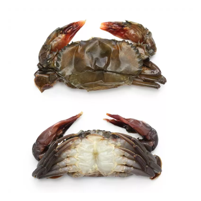 Soft shell crab hotel (18pcs/kg) 1kg Soft shell crab hotel (18pcs/kg) 1kg