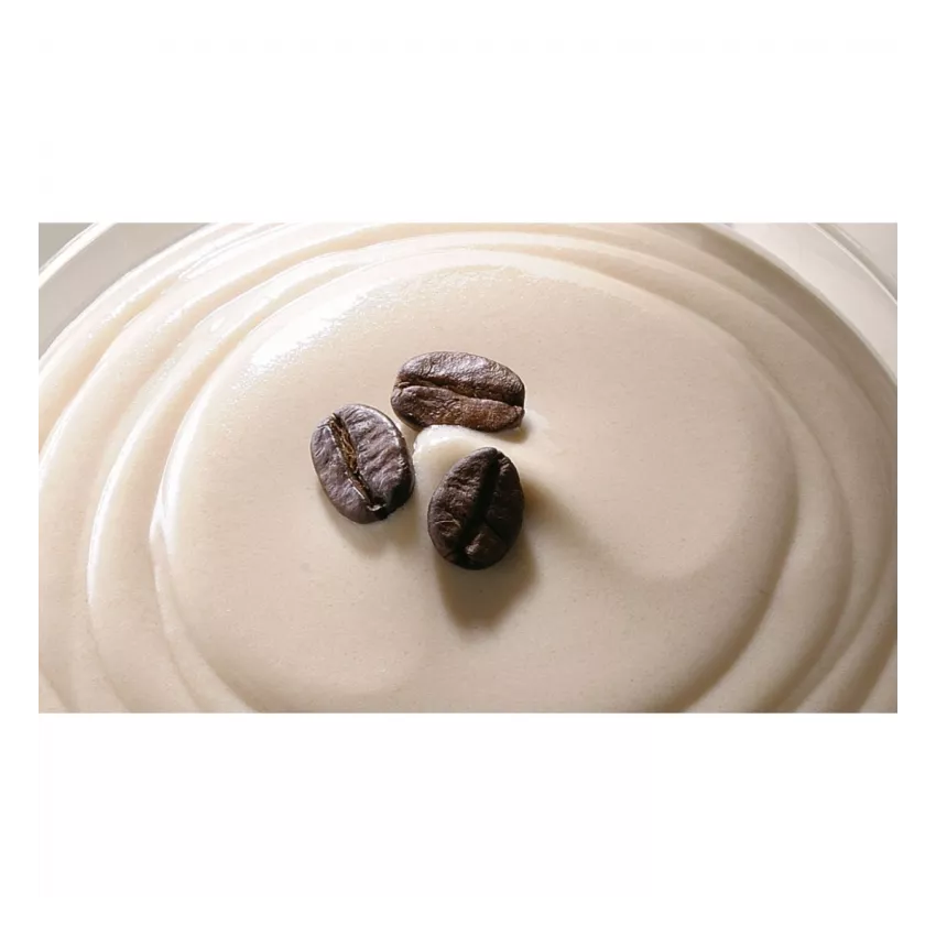 Πάστα καφές λευκός - caffe bianco 3kg Πάστα καφές λευκός - caffe bianco 3kg
