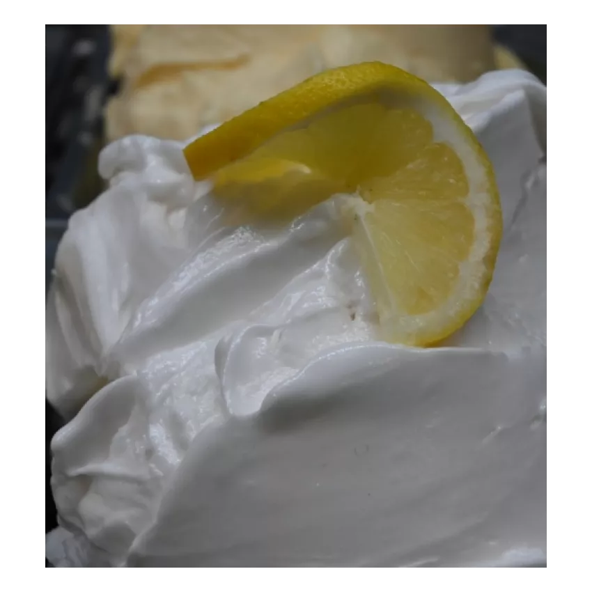 Melon sorbet mantygel 1.5kg Melon sorbet mantygel 1.5kg