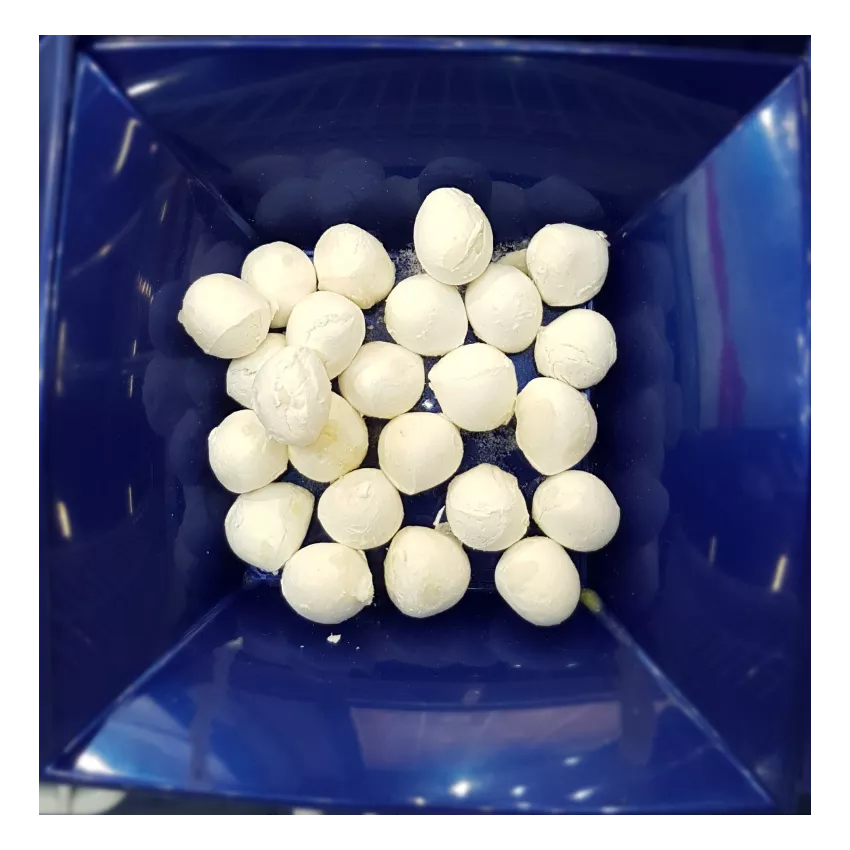 Pearls of mozzarella of 5g surgelate IQF Dal Molise 1kg Pearls of mozzarella of 5g surgelate IQF Dal Molise 1kg