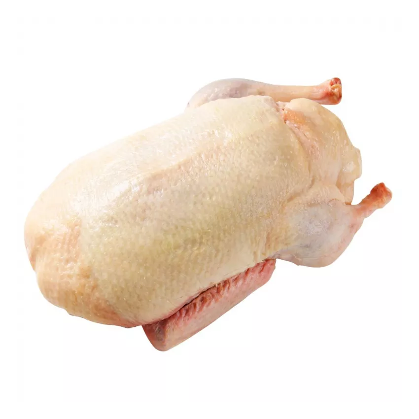 Πάπια ολόκληρη ανευ εντοσθίων Πολωνίας 6Χ2.3kg Πάπια ολόκληρη ανευ εντοσθίων Πολωνίας 6Χ2.3kg