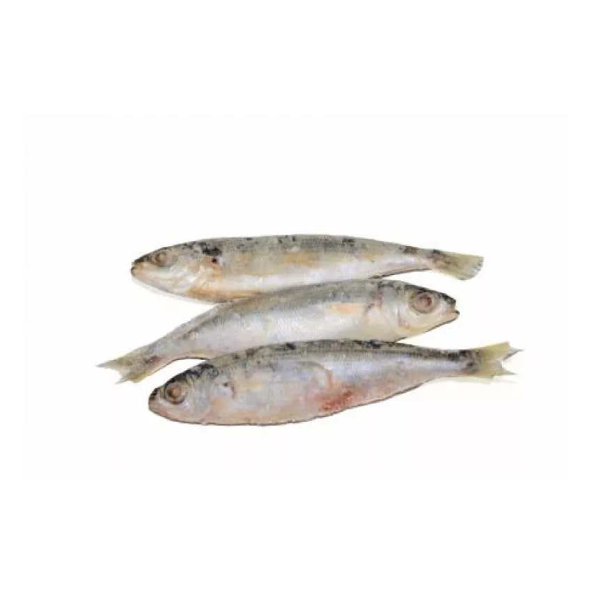 Αθερίνα IQF 1kg Αθερίνα IQF 1kg