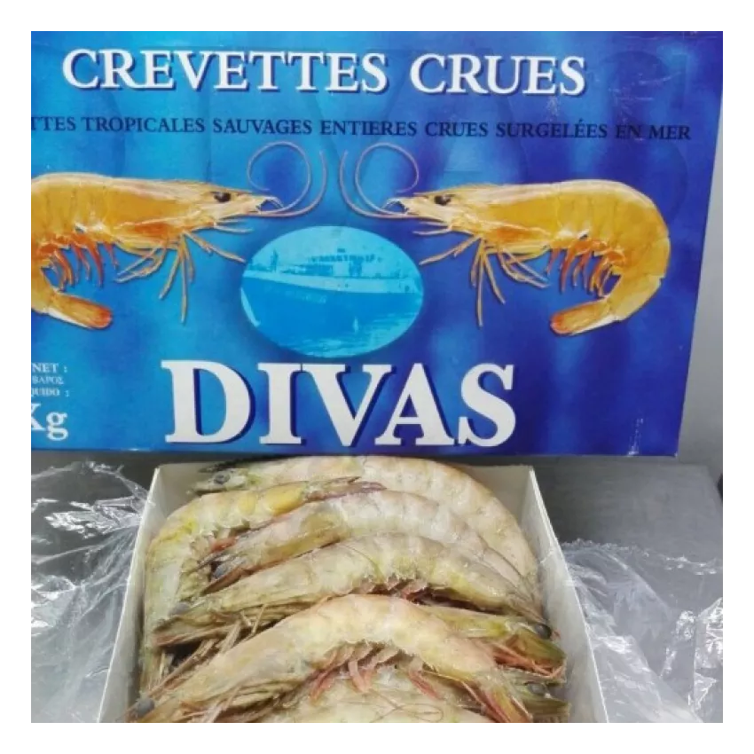 Γαρίδες Ατλαντικού Divas No1 10/20 9X2kg Γαρίδες Ατλαντικού Divas No1 10/20 9X2kg